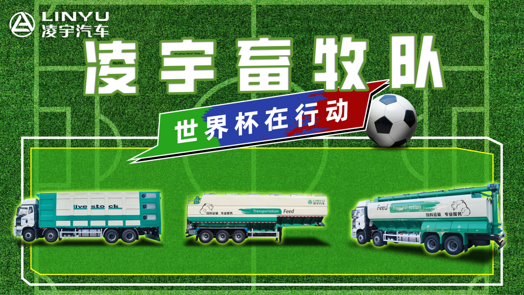 奪冠世界杯！你注意到這支球隊(duì)了嗎？